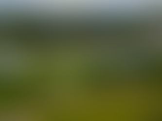 Un viaje en la historia de la aviación hondureña