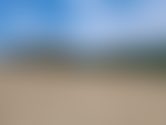 Fuerzas Armadas neutralizan destrucción de manglar en Omoa