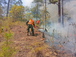 Incendio forestal es sofocado por el Tercer Batallón de Protección Ambiental en Santa Bárbara