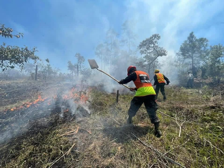 Rápida acción de las FF. AA. evita mayor daño por incendio forestal