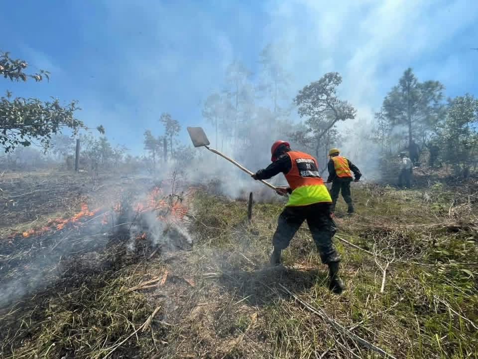 Rápida acción de las FF. AA. evita mayor daño por incendio forestal