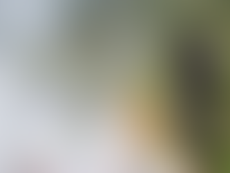 Policía Militar del Orden Público incinera droga y cigarrillos