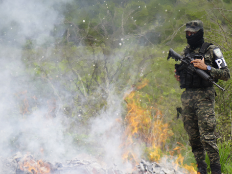 Policía Militar del Orden Público incinera droga y cigarrillos
