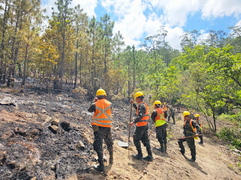 FF.AA. lidera sofocación de incendio en el Parque Nacional Montaña de Celaque