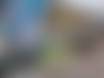 Escuela de Aplicación para Oficiales del Ejército recibe visita de inspección