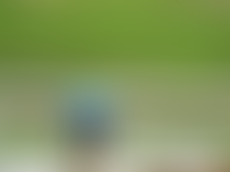 Cosecha histórica de arroz impulsa el desarrollo agrícola en Comayagua