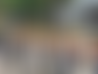 Tercer Batallón de Protección Ambiental gradúa a 40 soldados en Santa Bárbara