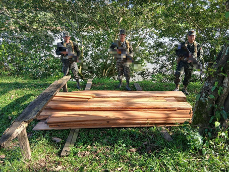 FF.AA. decomisan 28 piezas de madera en Gracias a Dios