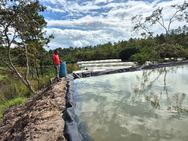 Impulsan la agricultura familiar a través de la SAG