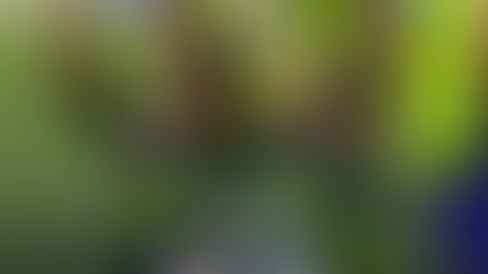 Jornada 12 deja resultados sorpresivos en Liga