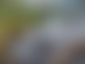 Mediante la rápida acción de las FF.AA. controlan incendio en Olancho