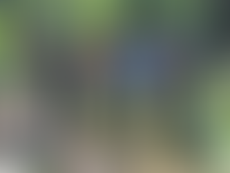 FNH requiere a ciudadanos en Cortés