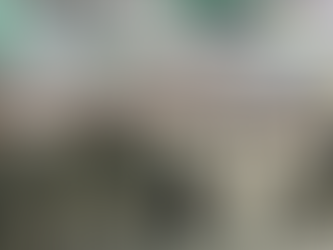 Ejército realiza ceremonia de inicio de labores