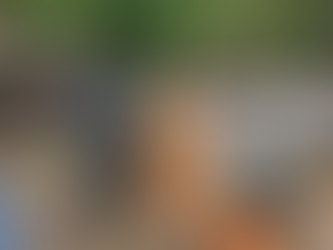 FF. AA. incautan madera en Santa Barbara