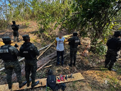 FF.AA. detienen a ciudadano por tala ilegal de pinos en Santa Bárbara