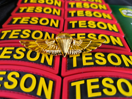 FF.AA. gradúan a 20 nuevos soldados TESON