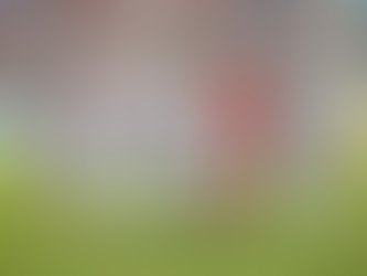 Vibrantes semifinales de Liga Nacional tendremos hoy sábado