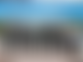 XVII Actividad Especializada Virtual de Educación Militar