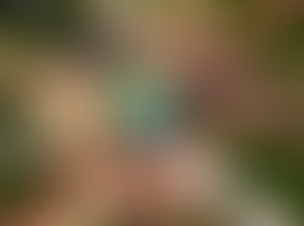 Estudio destaca actitudes positivas de estudiantes hondureños hacia la diversidad