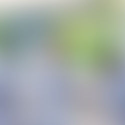 Resultados actualizados de la antepenúltima fecha 21 de la Liga Nacional que hoy cierra