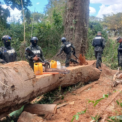 Batallón Ambiental decomisa motosierra en operativo contra tala ilegal en Catacamas