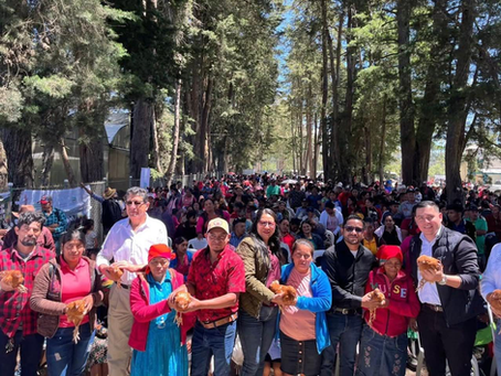 Oportunidad y alimento llegan a 18 mil familias con entrega masiva de aves ponedoras