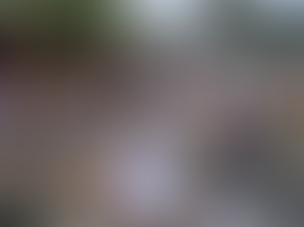 Unión interinstitucional refuerza prevención de incendios en zona insular