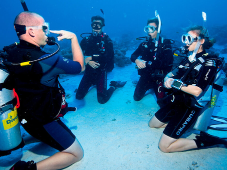 Fuerza Naval abre Escuela de Buceo Militar al público civil