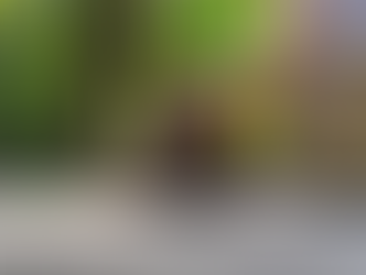 Importancia de la prevención adecuada en casos de epilepsia