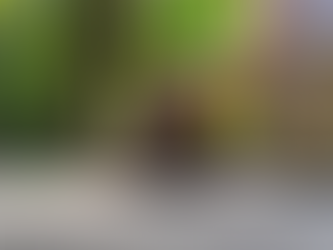 Importancia de la prevención adecuada en casos de epilepsia