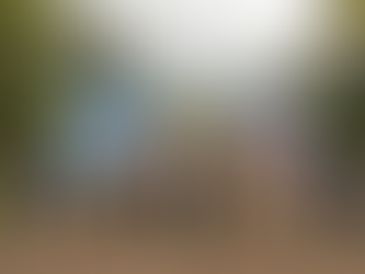 Visita de intercambio de las Industrias Militares en el marco de la CFAC