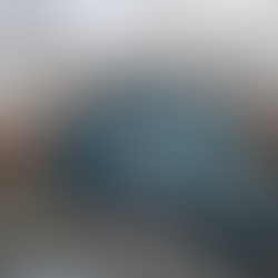 Exportación de camarón fortalece la economía hondureña