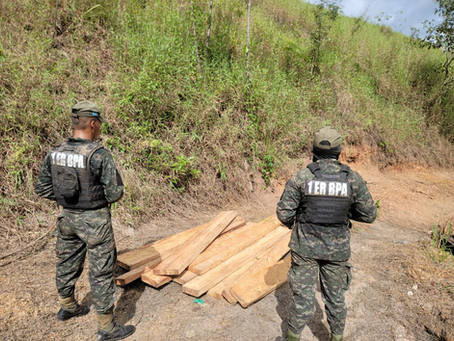 Decomiso de madera en Olancho