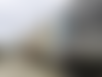 Puerto Cortés se posiciona como el nuevo referente del turismo de cruceros en la región