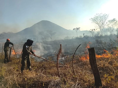 FNH logra sofocar incendio forestal en el sector de El Zope