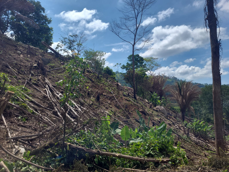 Inspeccionan microcuenca en el Parque Nacional Punta Izopo
