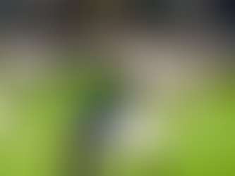 Jornada 22: Una fecha que definirá al último clasificado del Apertura 2025