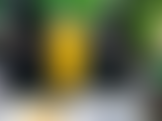 PMOP captura a menor con droga en Morocelí