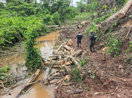Mediante patrullajes ambientales identifican zona deforestada