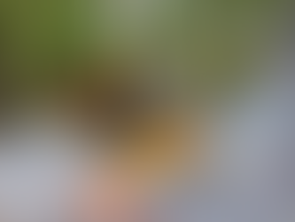 FF.AA. combaten sin pausa  incendio forestal en el Bosque de Triquilapa