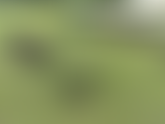 Inauguración del Curso PUMAS en el Fuerte Mocorón, Durzuna