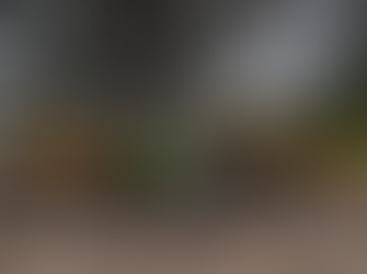 Inhabilitan maquinaria utilizada en actividades ilegales en Santa Bárbara