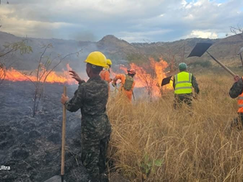 Primer Batallón de Infantería sofoca incendio forestal en Nueva Aldea
