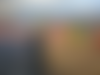 Primer Batallón de Infantería sofoca incendio forestal en Nueva Aldea