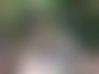 FF.AA. inhabilita infraestructura ilegal en la Microcuenca La Recuperada, Olancho