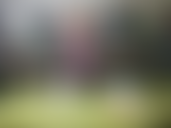 FFAA debilita estructuras de narcomenudeo en barrios capitalinos