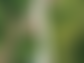 Pavimento fortalece desarrollo y conexión regional en Copán