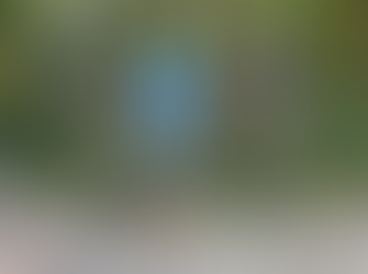 FF.AA. decomisan motosierra en operativo forestal