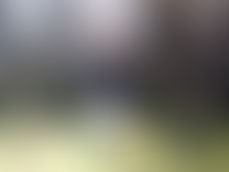 Capturan a menor vinculado a estructura criminal en Brisas de Olancho