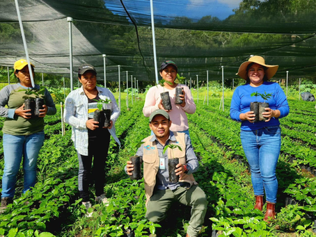 SAG invierte más de 260 millones en soluciones agrícolas sostenibles en occidente